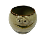 Novelty pottery salt or sugar pot